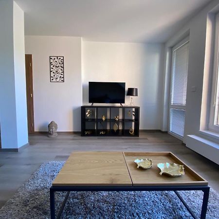 Cerna Ruze- Apartman 5 プルゼニ エクステリア 写真