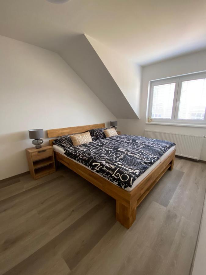Cerna Ruze- Apartman 5 プルゼニ エクステリア 写真