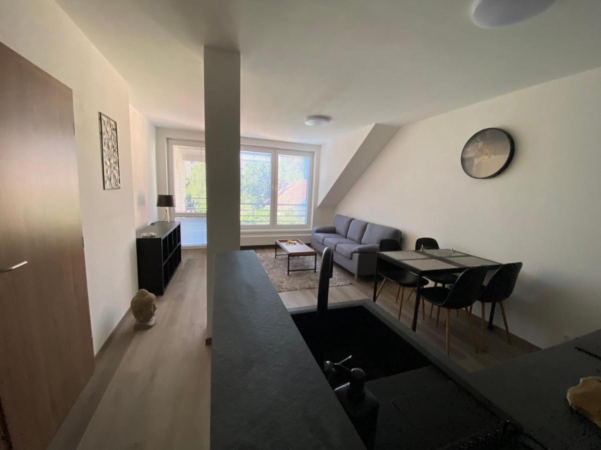 Cerna Ruze- Apartman 5 プルゼニ エクステリア 写真