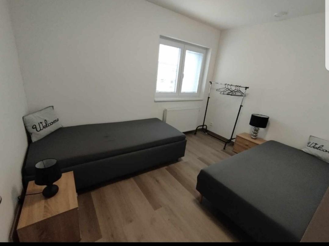 Cerna Ruze- Apartman 5 プルゼニ エクステリア 写真